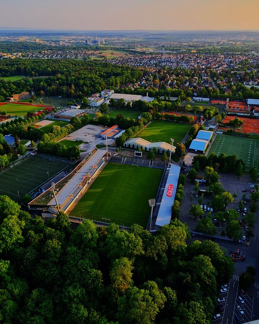 使球员更易 使球员更易