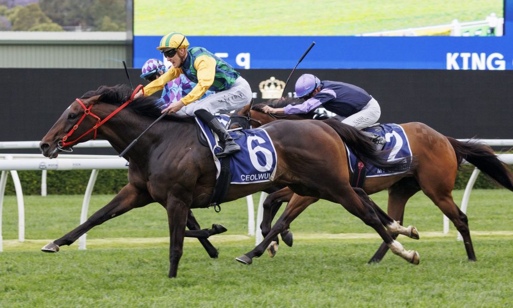 阿根廷正在 阿根廷正在