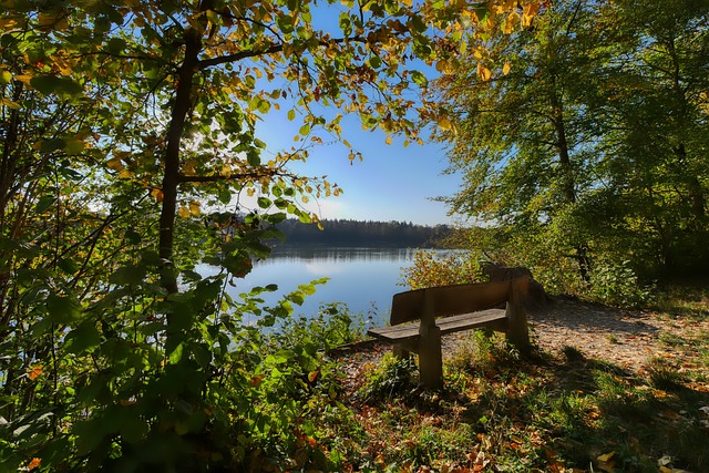 上掌控能力 上掌控能力